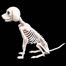 Halloween Scary Skeleton Dog