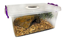 Tarantula,Spider,Millipedes,Sn