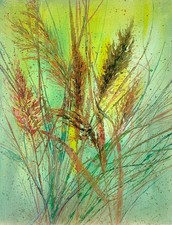 Feather Grass in the Wind
