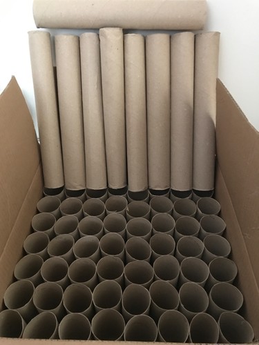 Empty toilet roll - toilet,