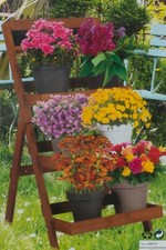 Plant pot stand tiers flower - pot,