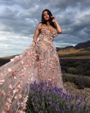 SAMPLE GOWN ONLY-VERITY Blush/Gold/White Lace Tulle Bridal Wedding Ballgown Set 