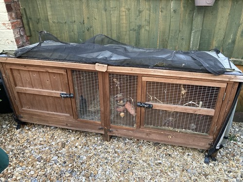 6ft rabbit hutch scratch - rabbit,