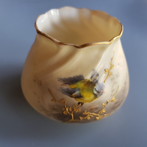 Antique 1905 royal worcester - antique,