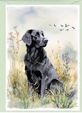 Flatcoated Retriever Dog