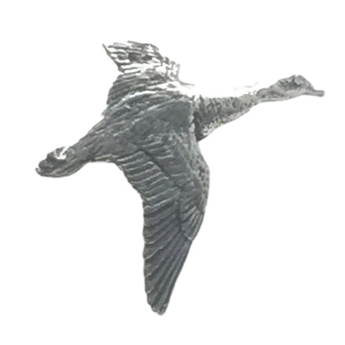 Mallard duck birds - duck, "birds,animals