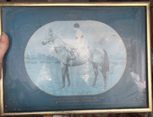Arkle framed horse racing - arkle,