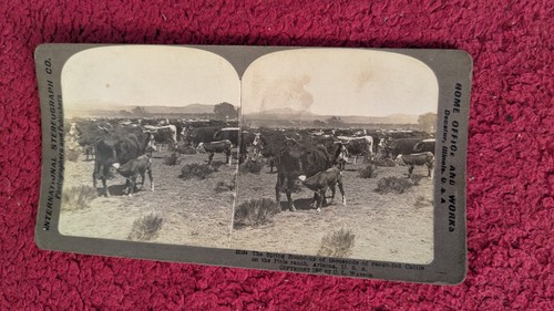 Stereoscope card3 farm - stereoscope, (3)