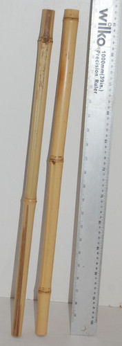 Bamboo poles reptiles craft - reptiles,,