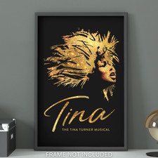 Tina The Tina Turner Musical
