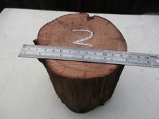 YEW log exotic