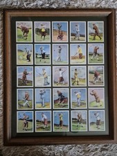 Framed set of 25 W.D. & H.O
