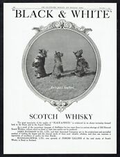 Black & White Whisky Scottie