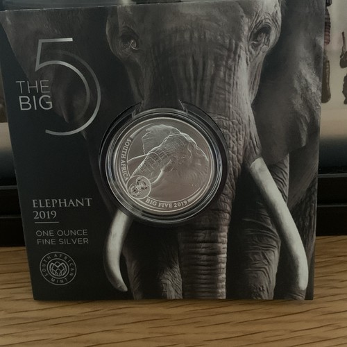 2019 south african elephant - 2019,