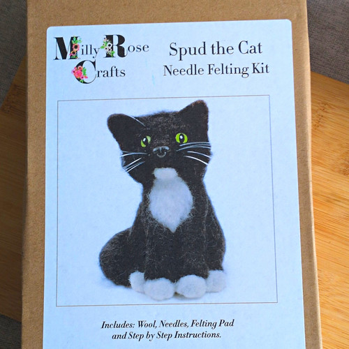 Milly rose crafts - crafts, cat