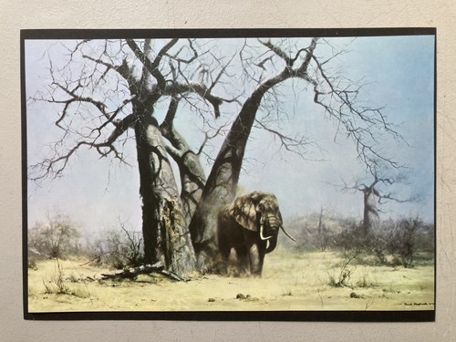 African wildlife print - print, -'old