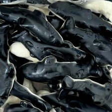 Giant Orcas (Killer Whales)