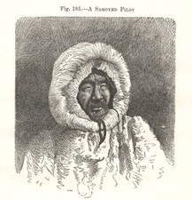 A Samoyed Pilot. Russia 1885 old antique vintage print picture