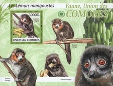 Fauna lemurs mongooses - mongooses, banana