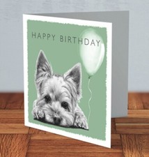 Yorkshire Terrier Yorkie