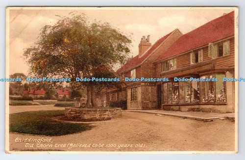 R778142 chiddingfold old - r778142, thorn