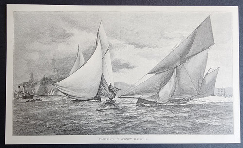 Antique print - (1888),
