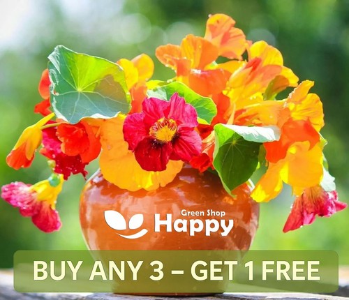 Nasturtium mix out of - out, africa