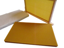 Unwired Brood Foundation - 10 Sheets - For British National Brood - 100% Beeswax