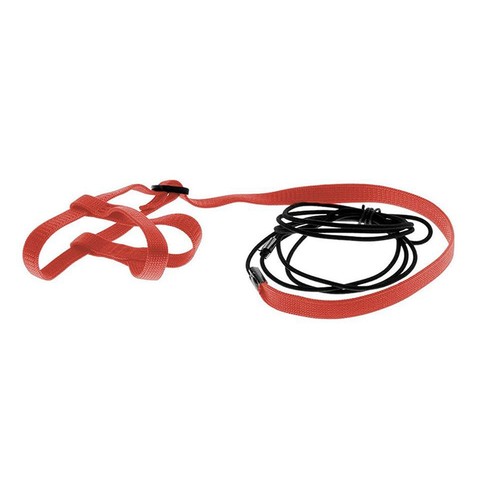Parrot bird harness leash - bird,