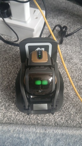 Anki vector robot - anki,
