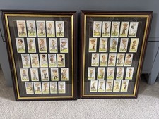 Framed Imperial Publishing