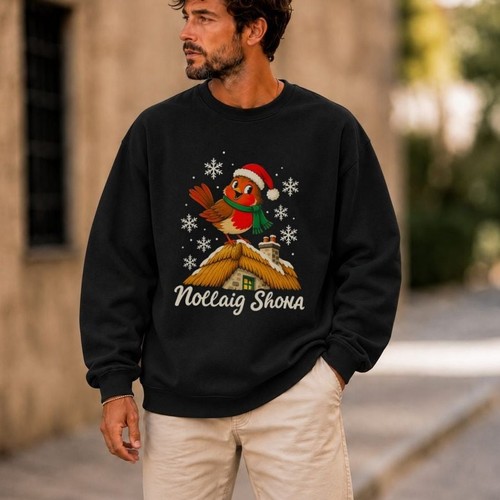 Irish christmas robin nollaig - robin,