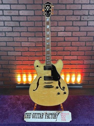 2005 washburn hb35 semi hollow - washburn, semi-hollow