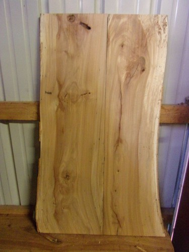 Rustic beech slab - beech,