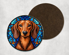 Beautiful Dachshund Dog