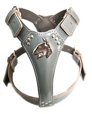 Grey Leather Dog Harness with English Bull Terrier Head Motif