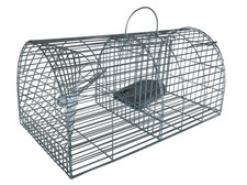 Multi catch rat trap - rat,