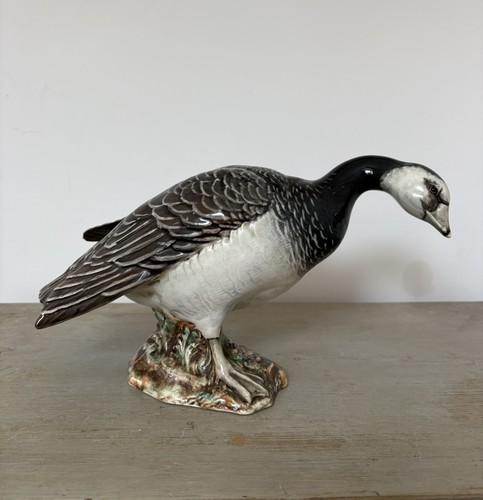 Rare beswick barnacle - rare, goose