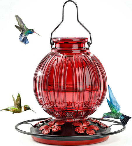 Glass hummingbird feeder - feeder, for