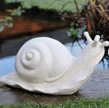 Garden Large Snail Slug
