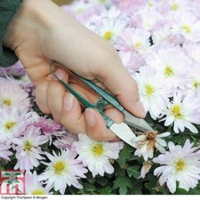 T&M Garden Snips Pruning