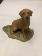 Border Fine Arts, Labrador Gun