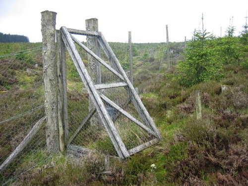 Photo 6x4 deer fence - photo,