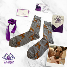IRISH TERRIER SOCKS UNISEX ONE