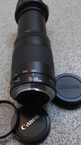 Canon 300mm 5 6 - 75-300mm, ii