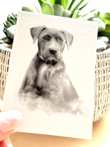 Aceo print rocky dog - dog, |