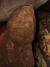 Genuine Dinosaur Fossil