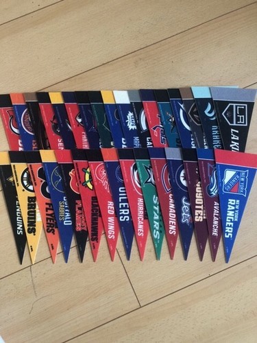 Nhl mini pennant - pennant, pennants