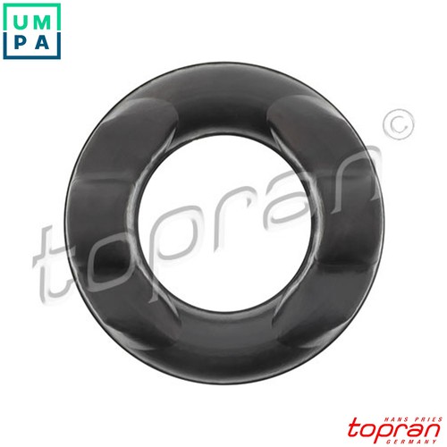 Mount exhaust system - 500, 184