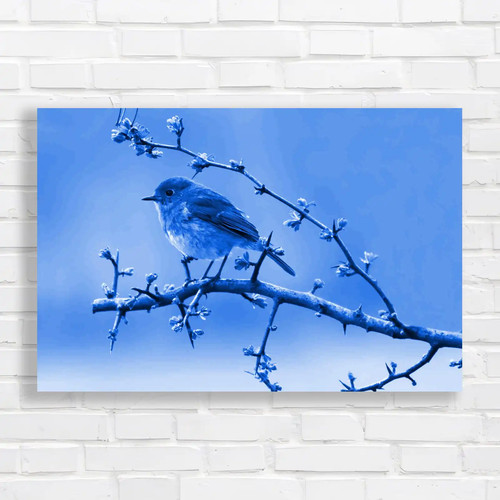Robins spring hawthorn tree - in,